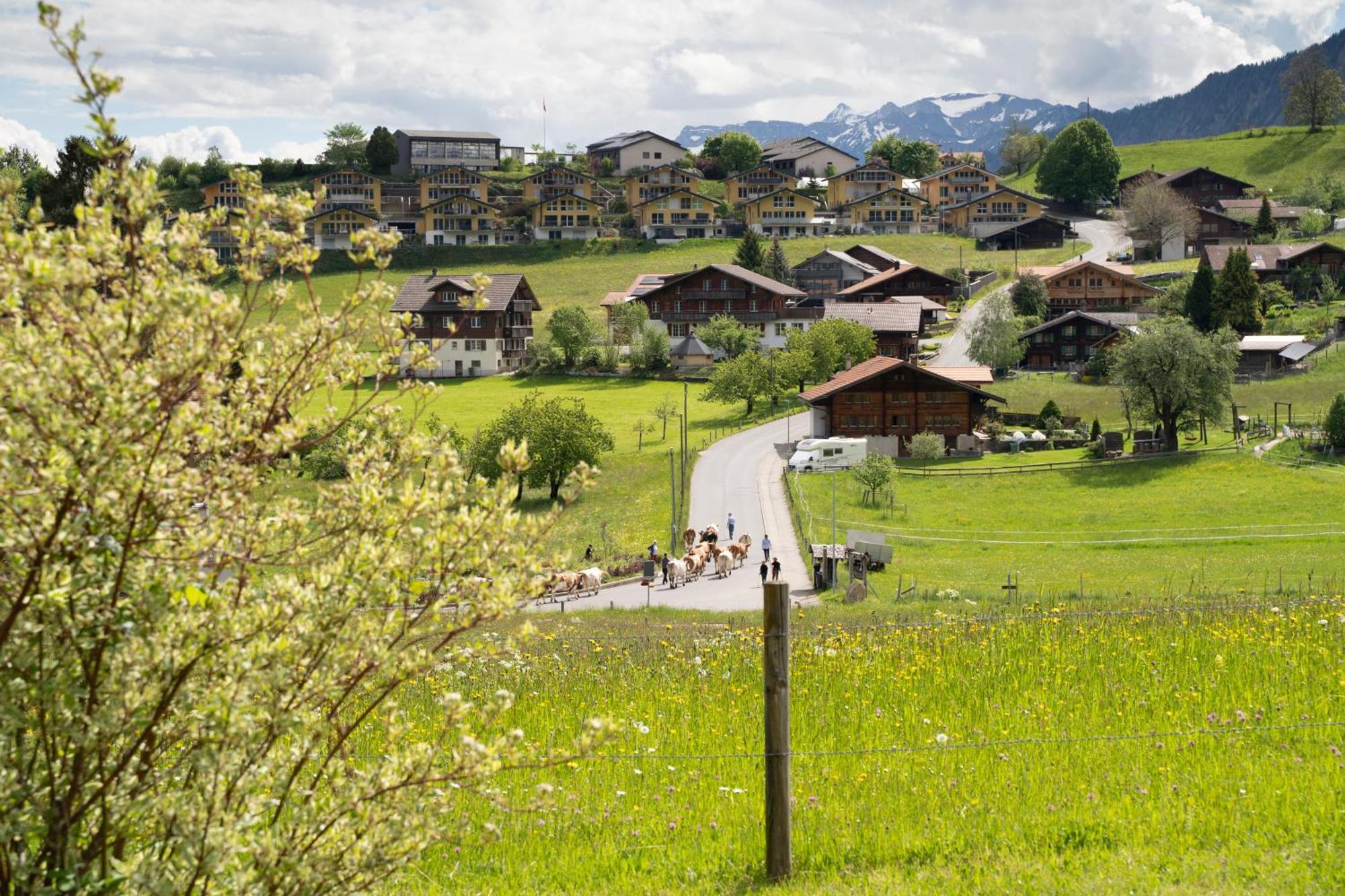 Bergblick Lodge - 3 Sterne Garni - Neueroeffnung Aeschi Bei Spiez Εξωτερικό φωτογραφία