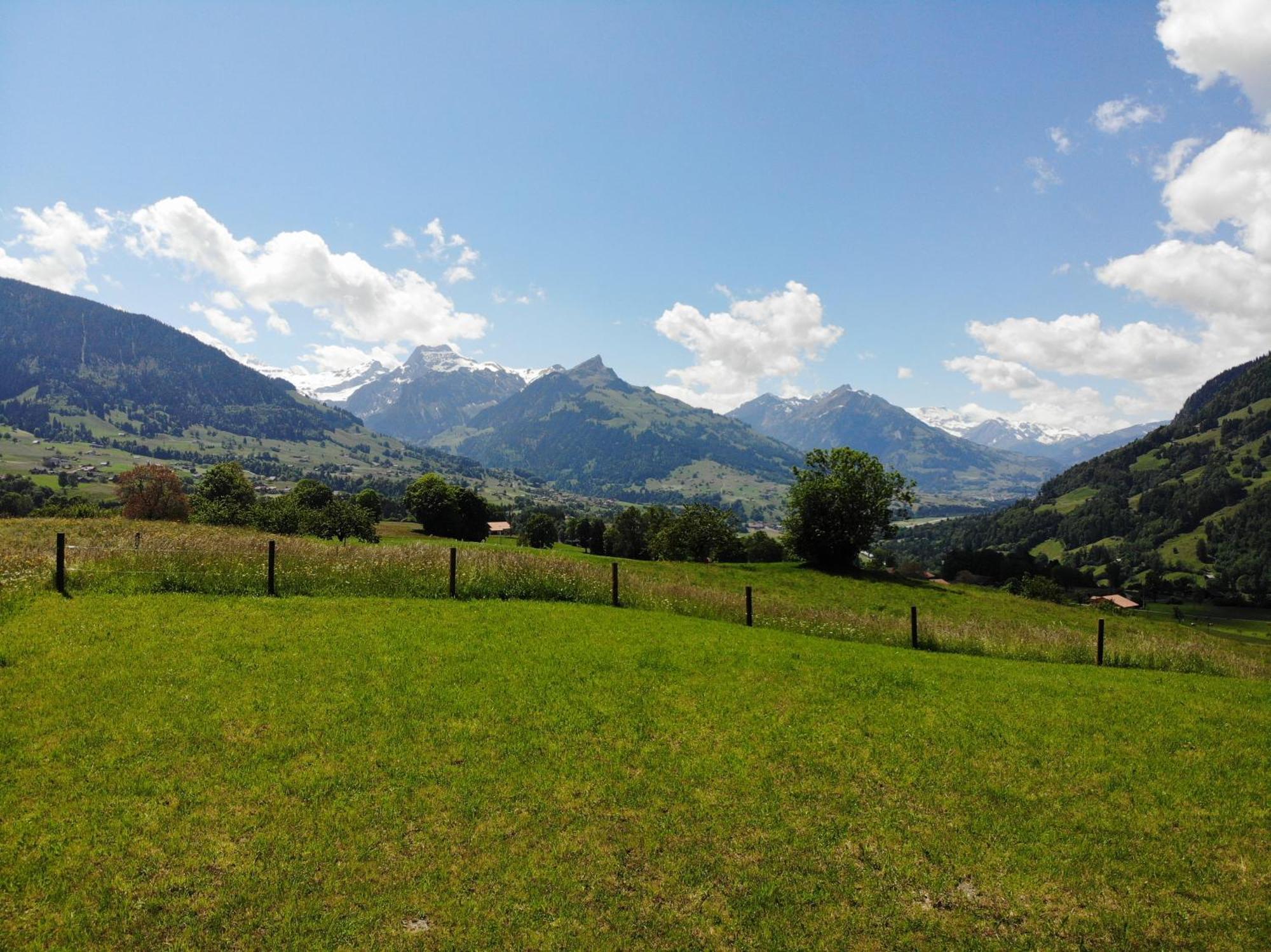 Bergblick Lodge - 3 Sterne Garni - Neueroeffnung Aeschi Bei Spiez Εξωτερικό φωτογραφία