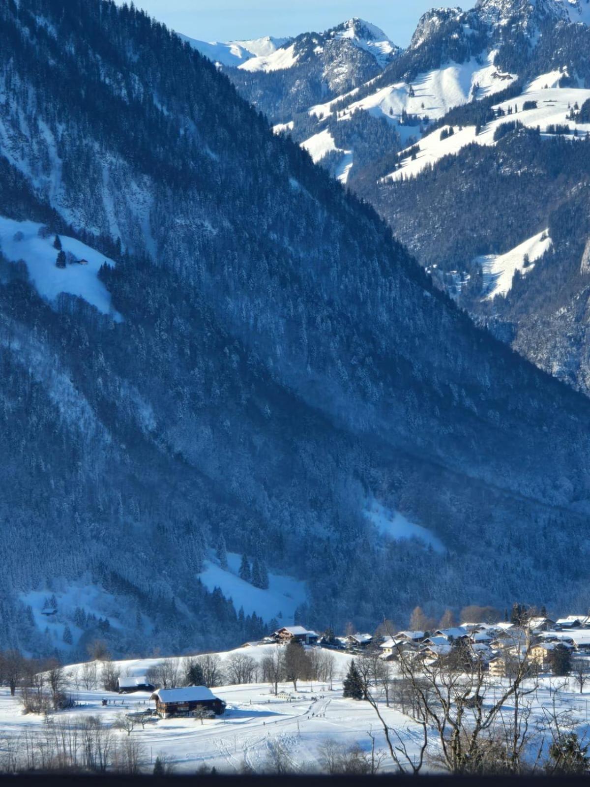 Bergblick Lodge - 3 Sterne Garni - Neueroeffnung Aeschi Bei Spiez Εξωτερικό φωτογραφία
