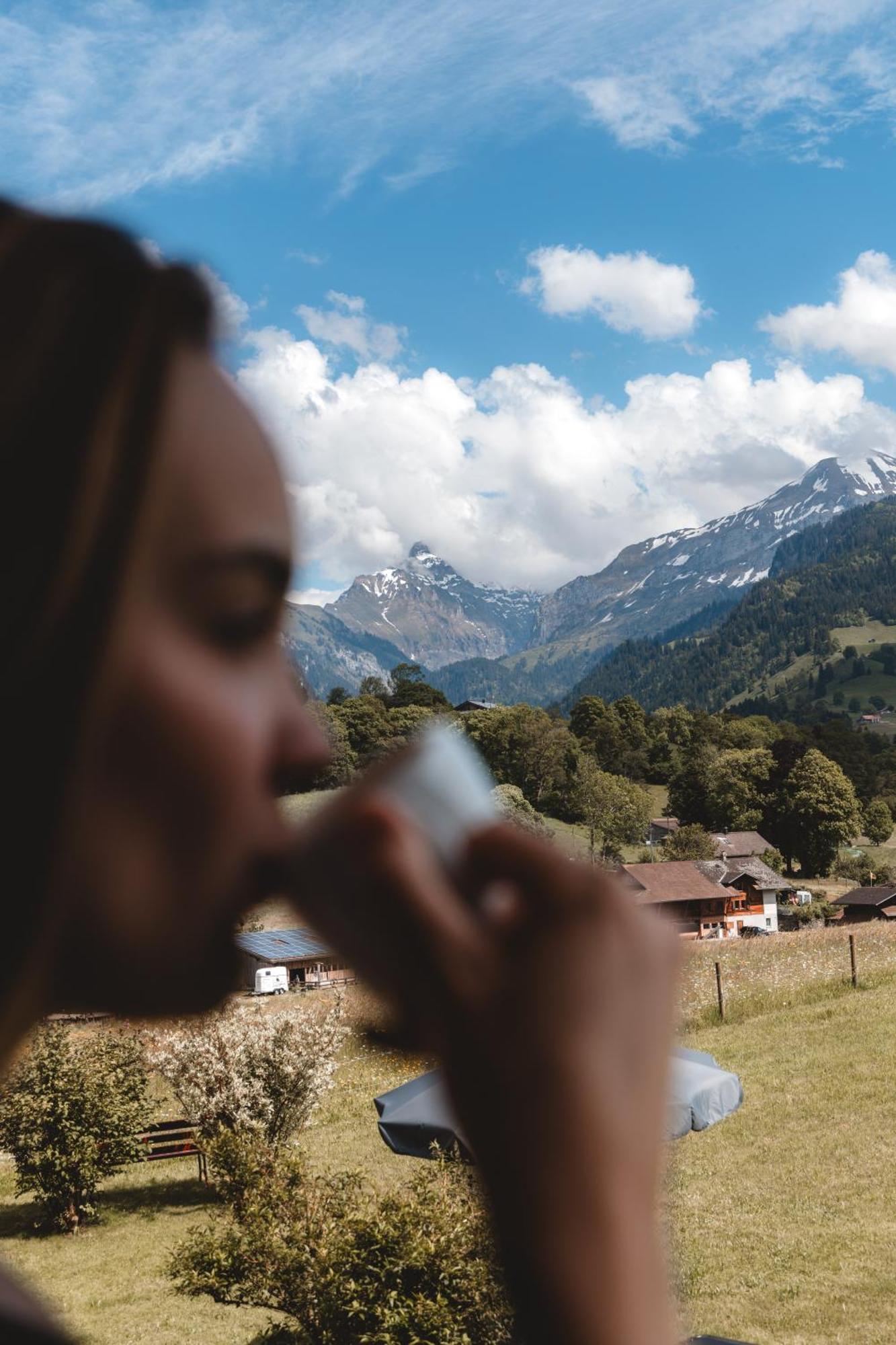 Bergblick Lodge - 3 Sterne Garni - Neueroeffnung Aeschi Bei Spiez Εξωτερικό φωτογραφία